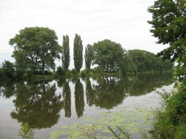 Labe 20 pod mostem v Litoli-12.7.09 (3).JPG